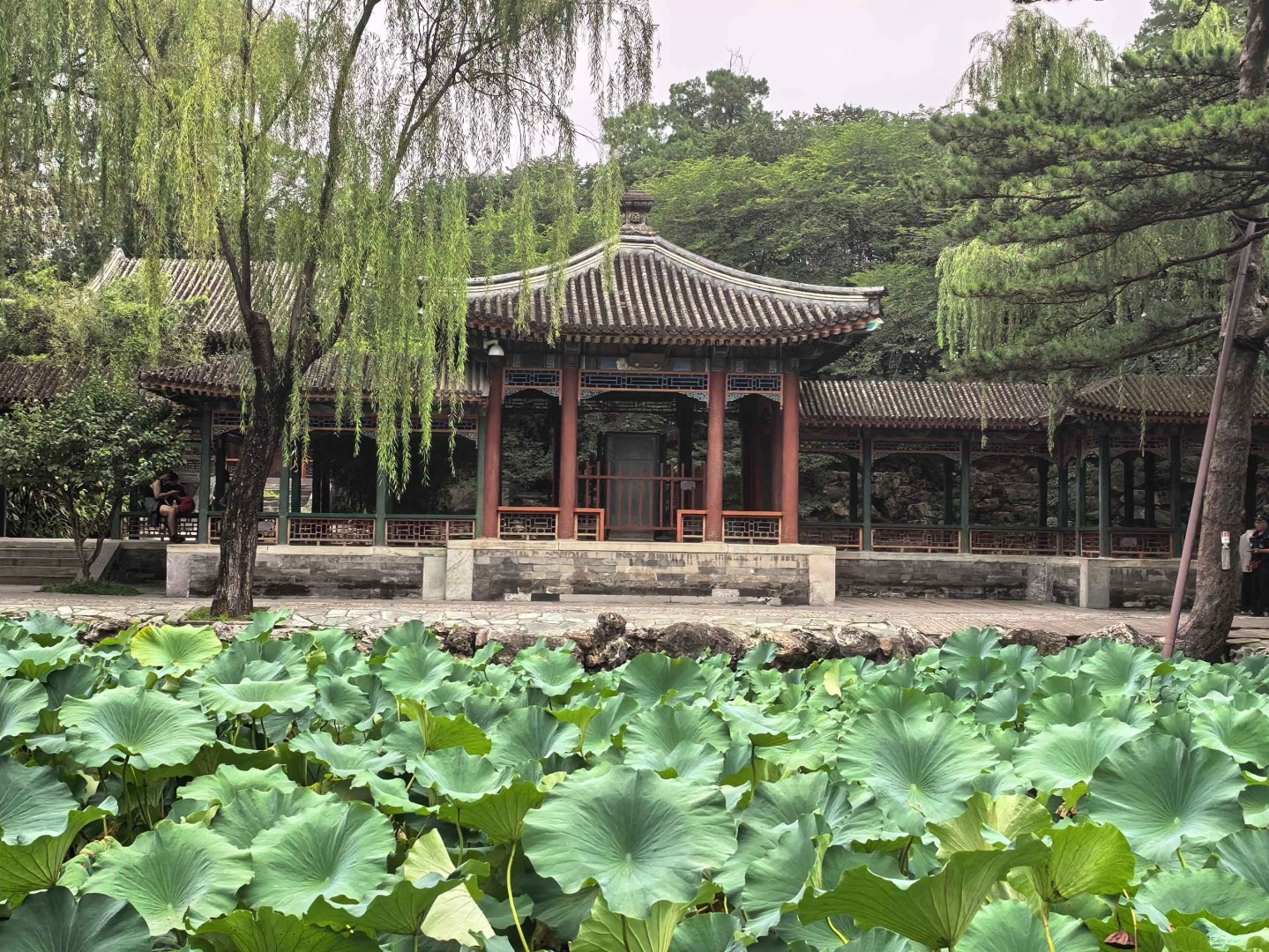 a8ff272a40cdec8ea450edd61e4e6f12 (1).jpg